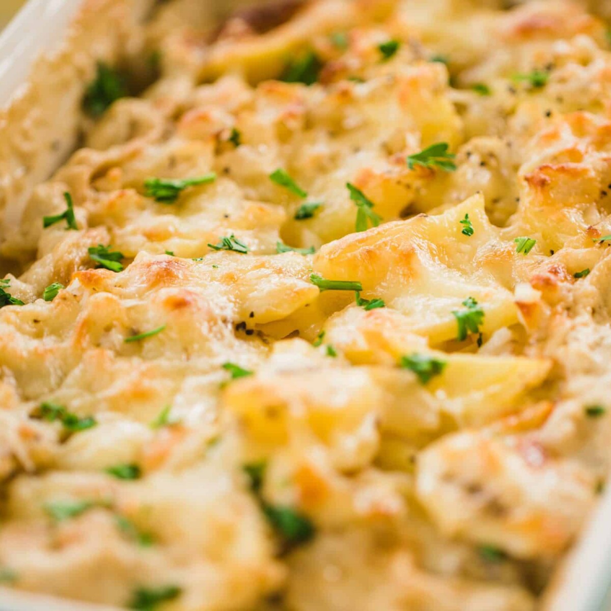 Golden brown, cheesy Au Gratin potatoes sit in a decorative casserole dish ready to enjoy.