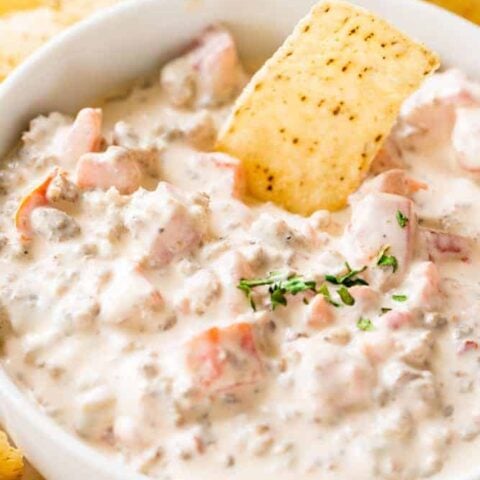 Big bowl of Creamy Rotel Sausage Dip is surrounded by tortilla chips ready to enjoy.