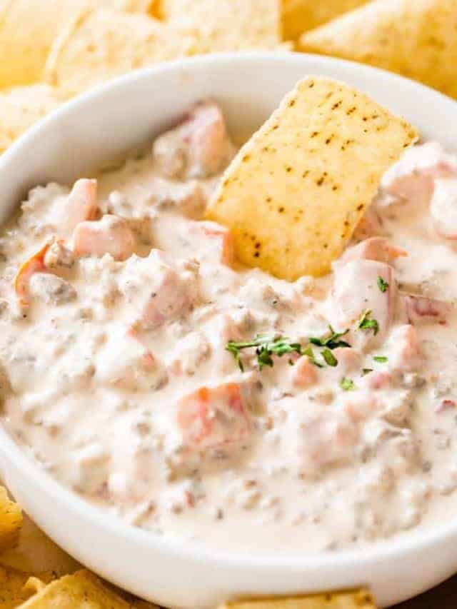 ROTEL SAUSAGE DIP