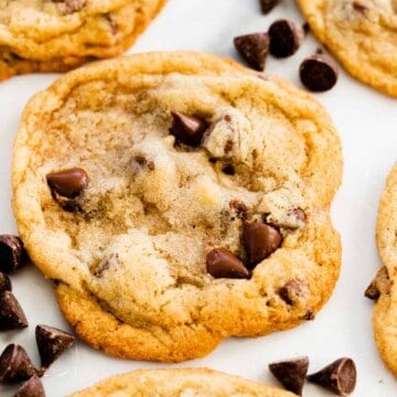 A big fresh, chocolate chip cookie sits on the counter top surrounded by other cookies and scattered chocolate chips.