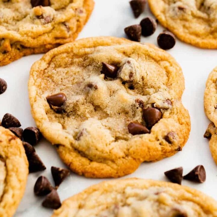 A big fresh, chocolate chip cookie sits on the counter top surrounded by other cookies and scattered chocolate chips.