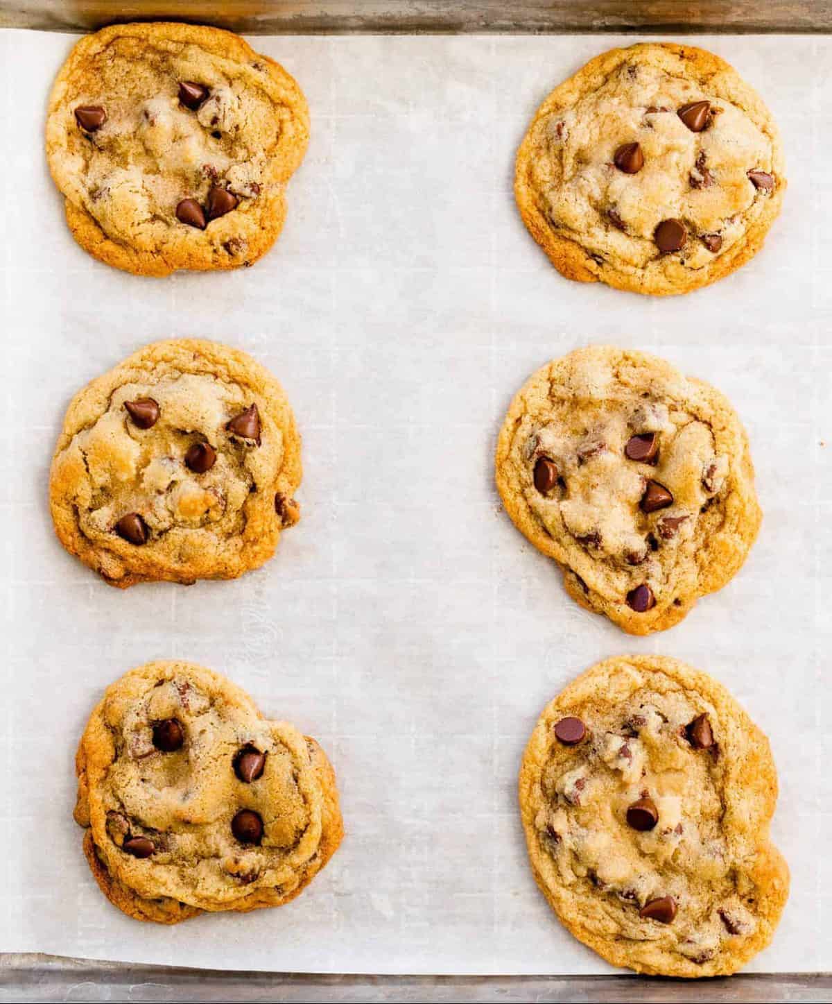 Perfectly baked chocolate chip cookies sit on a baking sheet.