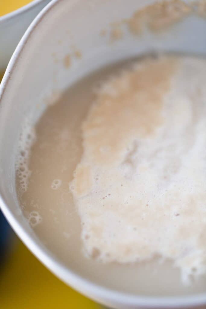 A bowl holds activated yeast. It is frothy and ready to add to the dough mixture.