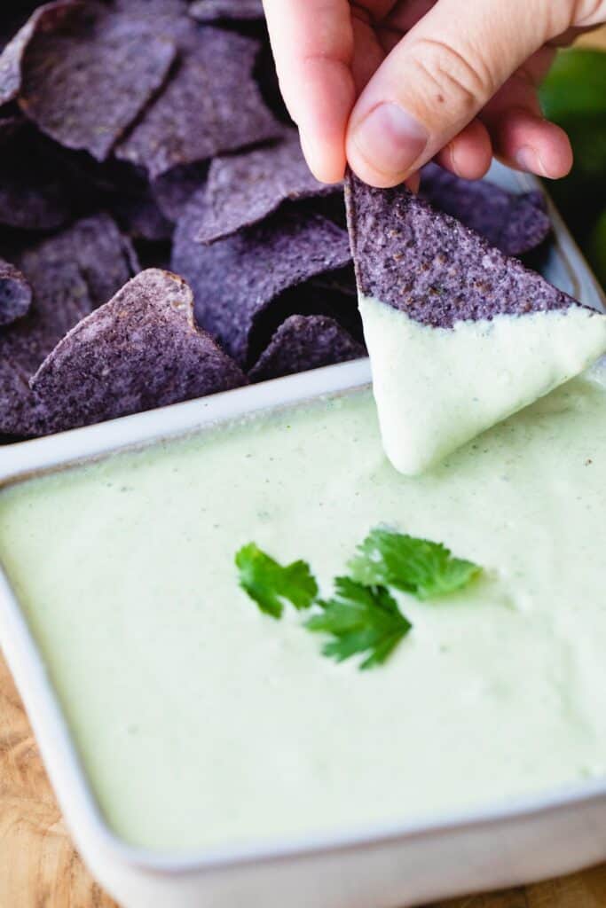 A purple tortilla chip is dipped into a dish of creamy jalapeño dip.