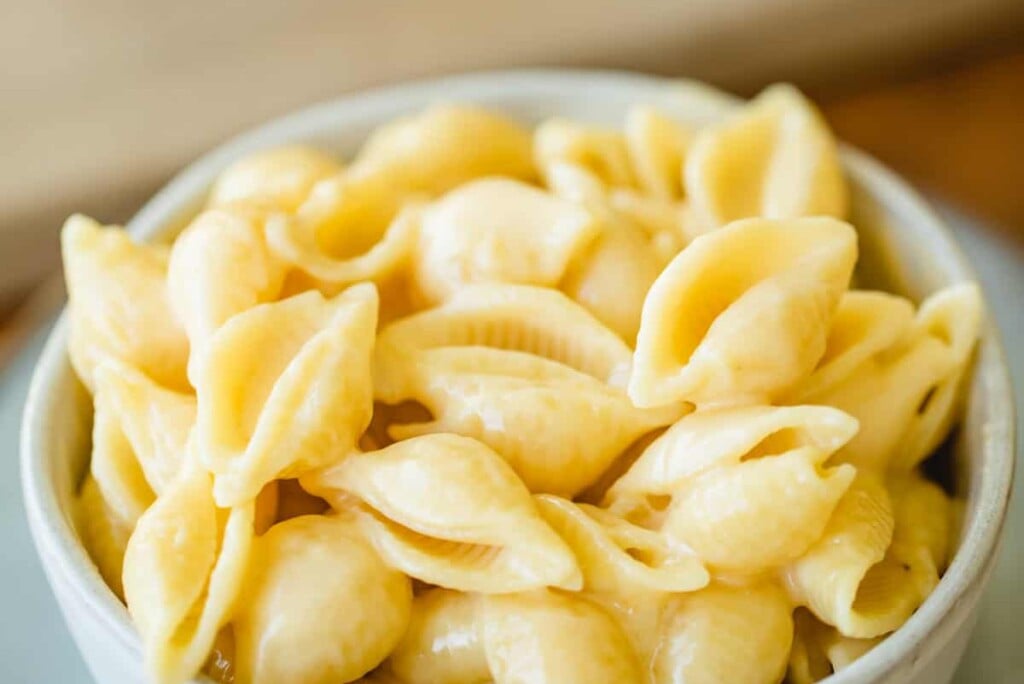 A large white bowl is filled with creamy pasta shells.