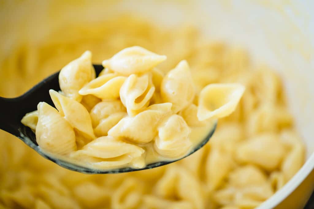 A black spoon scoops up a serving of cheesy pasta shells.