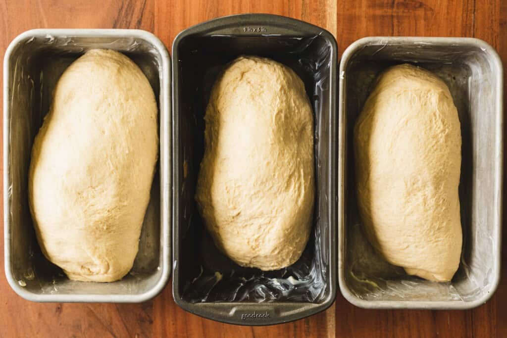 Three formed loaves of bread sit in greased bread pans.