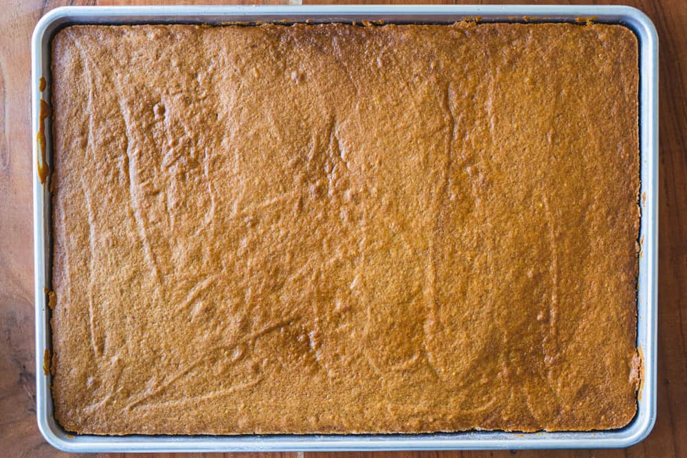 Large sheet pan of pumpkin sheet cake sits on a wooden counter top cooling.