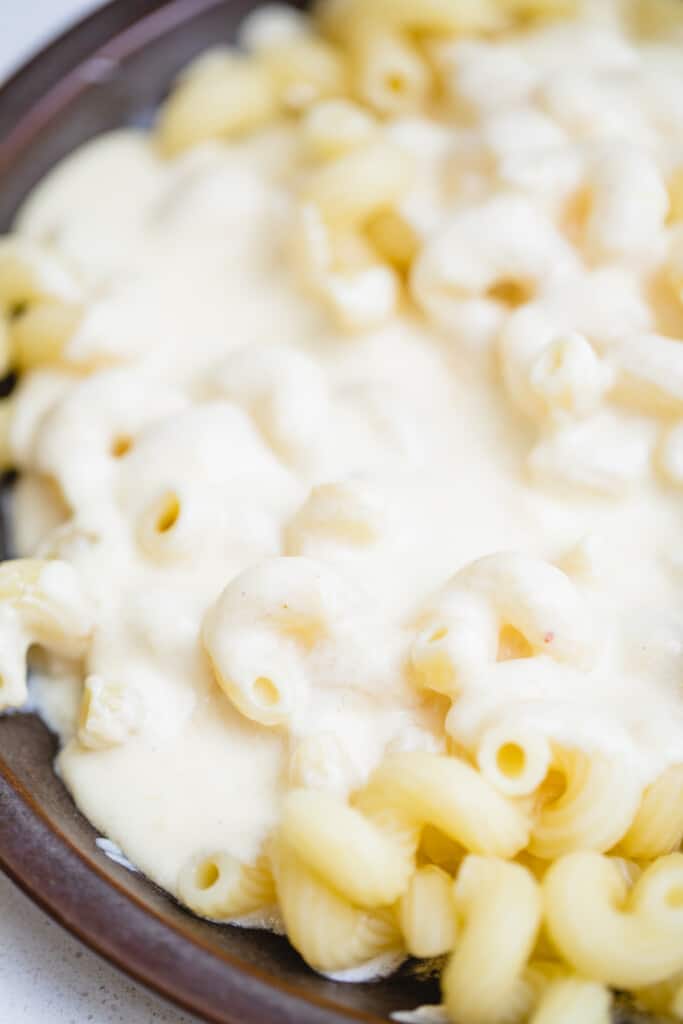 Perfectly cooked pasta is covered in a fresh homemade alfredo sauce.