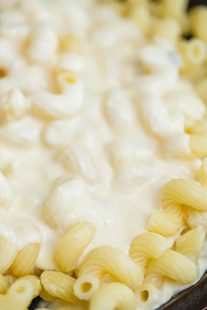 Cellentani cooked pasta is smothered in a fresh homemade alfredo sauce.